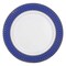 Smarty Had A Party 10.25" White with Gold Spiral on Blue Rim Plastic Dinner Plates (120 plates), 120PK 670BG-CASE - alternate 9